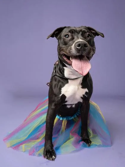 Gretchen thumbnail 2