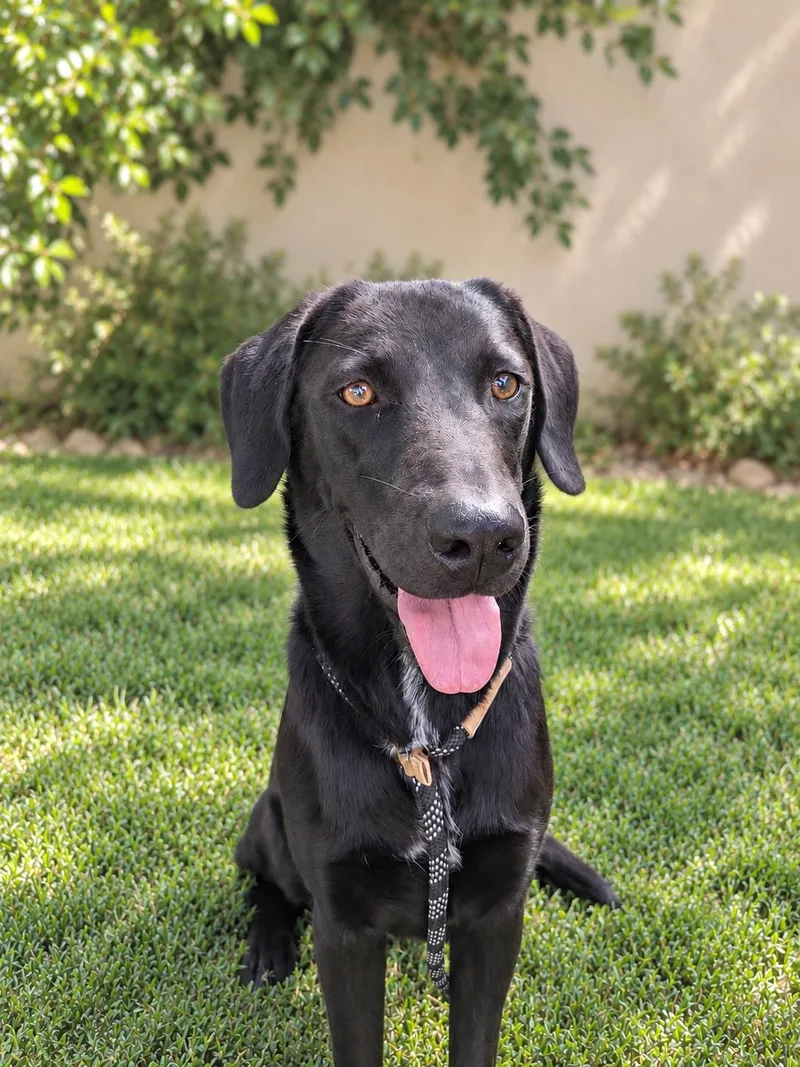 Tilly
