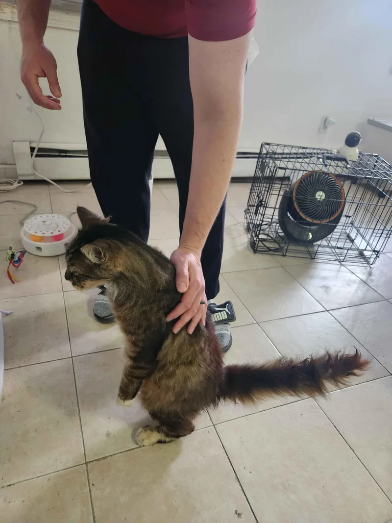 Squishy Squashy thumbnail 4