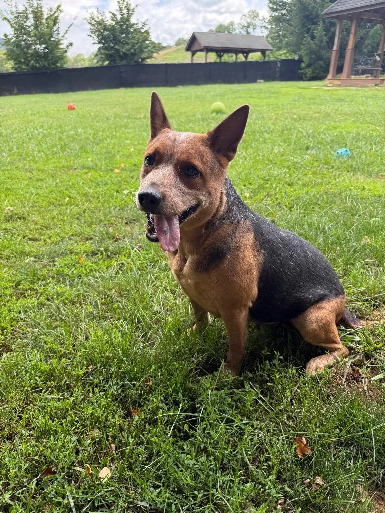 Maggie