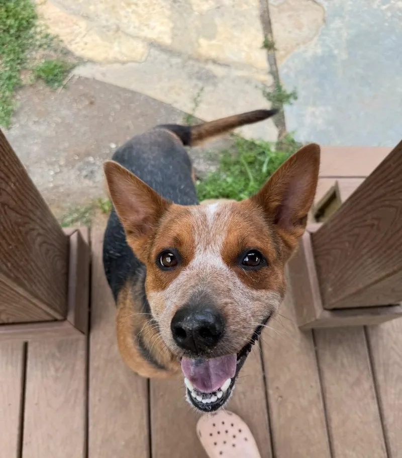 Maggie thumbnail 2