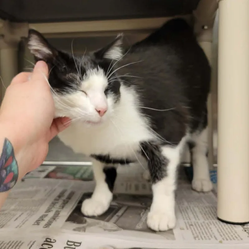 Marley thumbnail 6