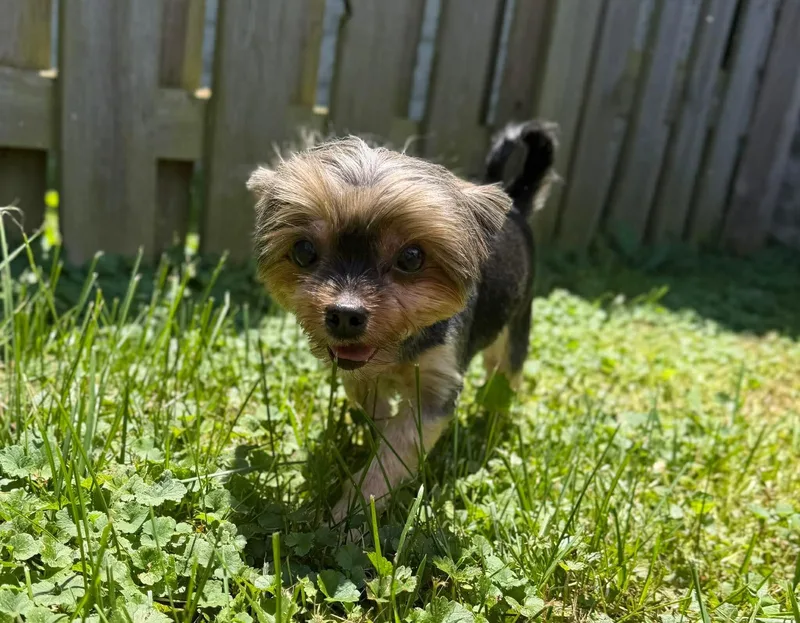 Ella