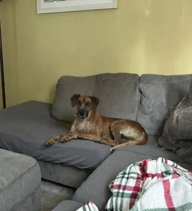 Ottis thumbnail 4