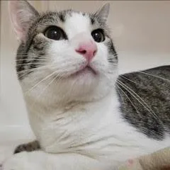 Marbles thumbnail 2