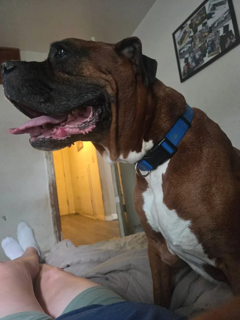 Bubba