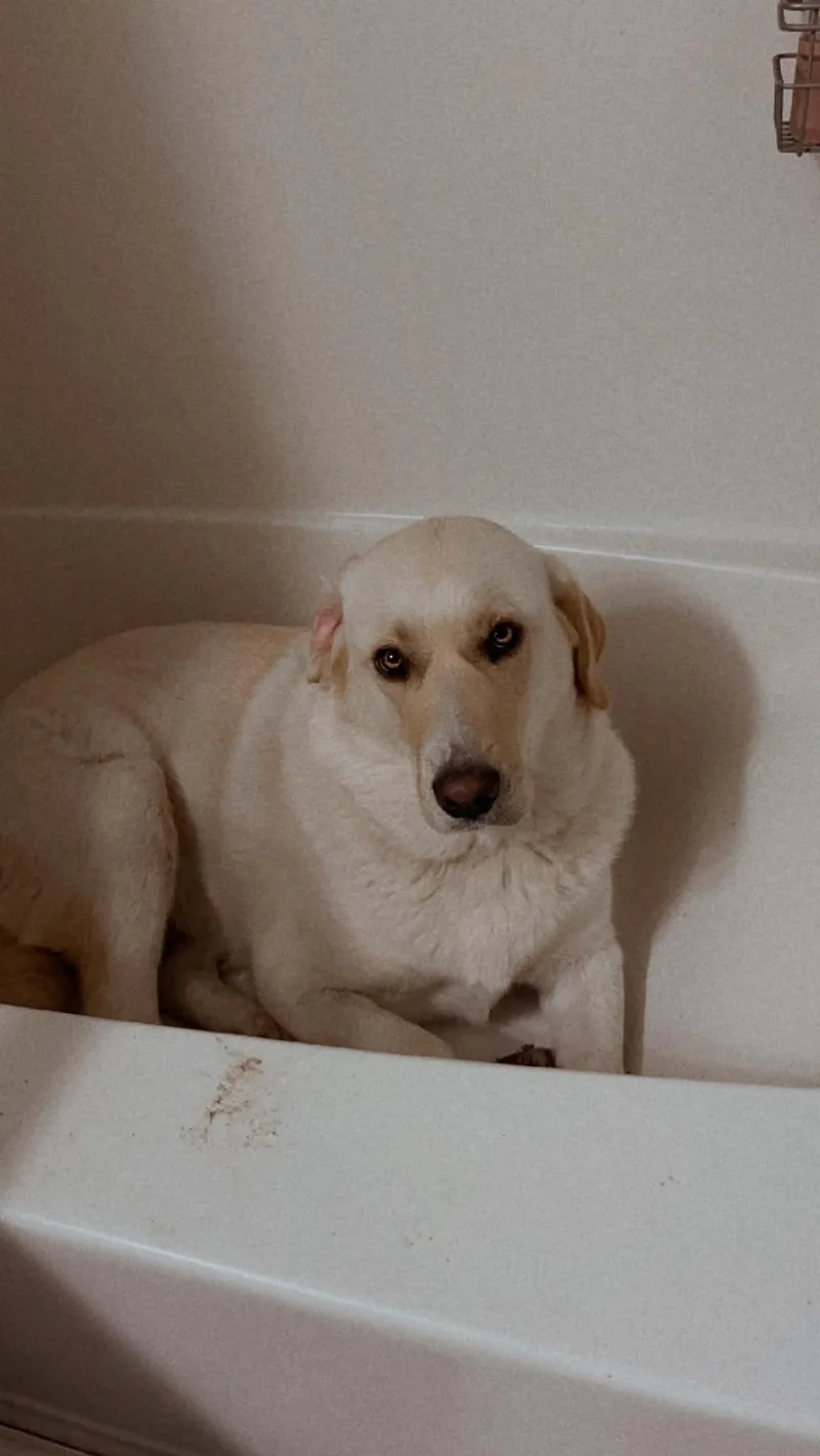 Bailey thumbnail 3