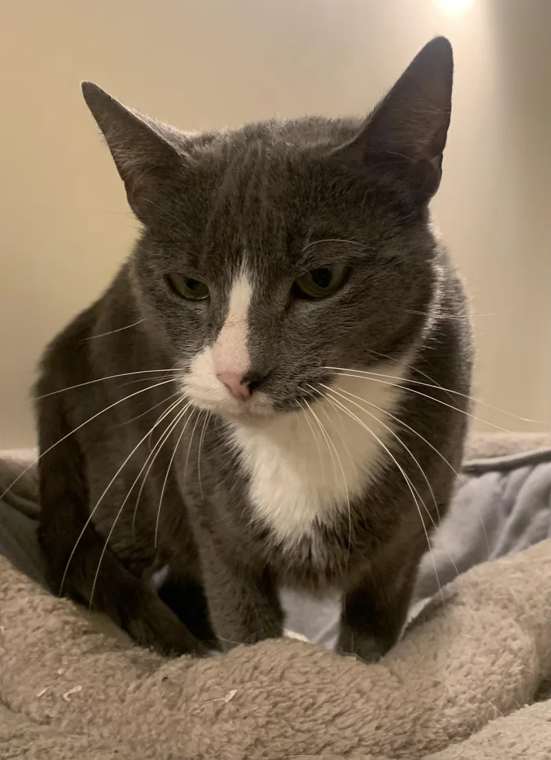 Mama Grey thumbnail 2