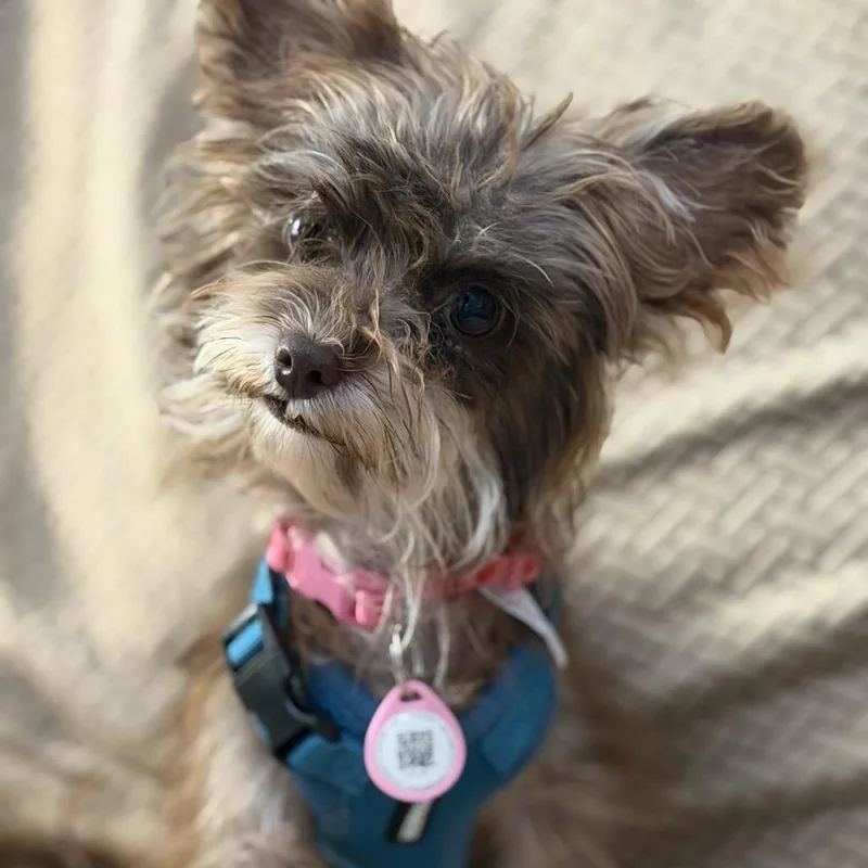 Winifred thumbnail 5