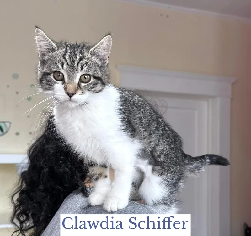 Clawdia Schiffer thumbnail 3