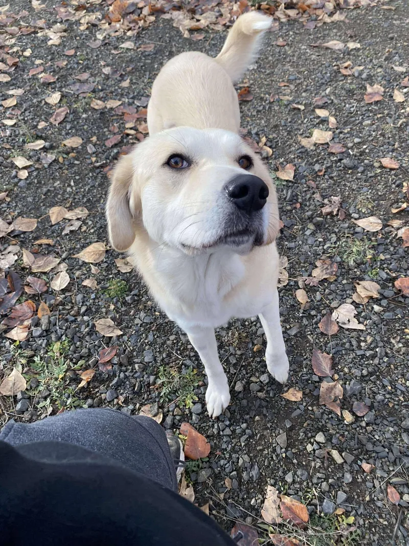 Clementine thumbnail 3