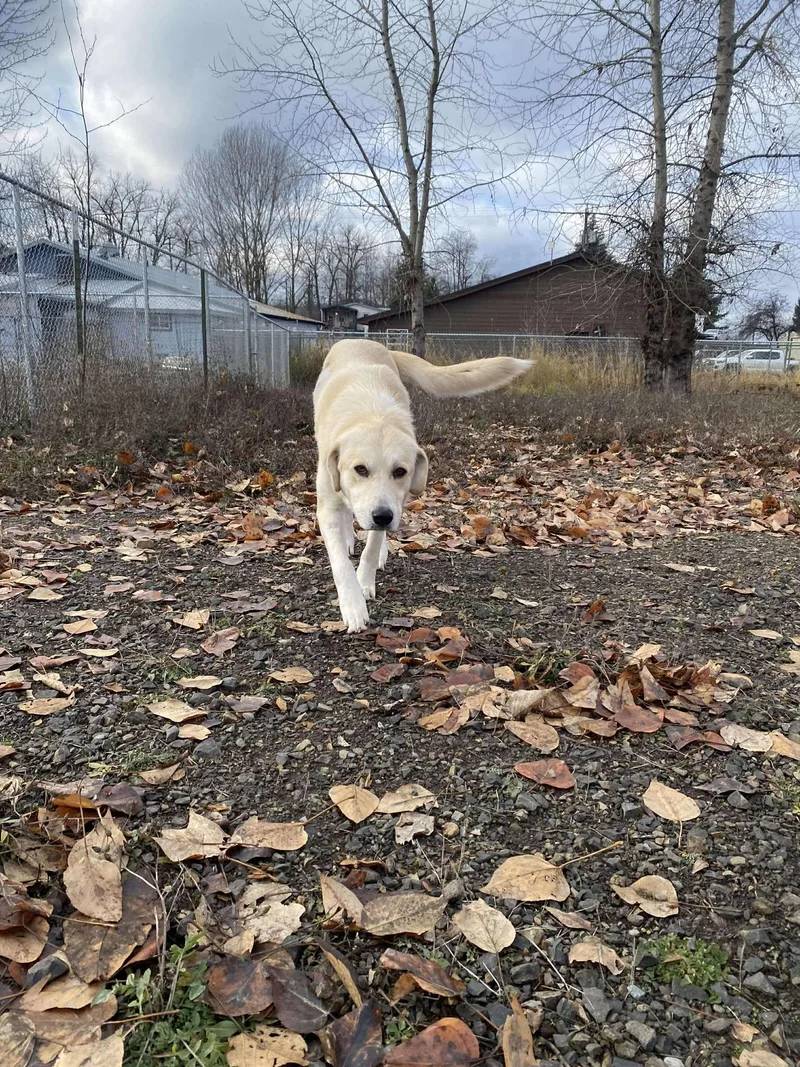 Clementine thumbnail 5