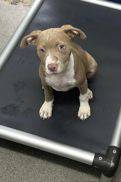 Missy Months