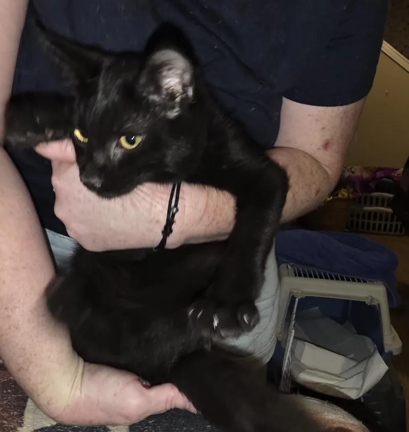Zoomie thumbnail 2