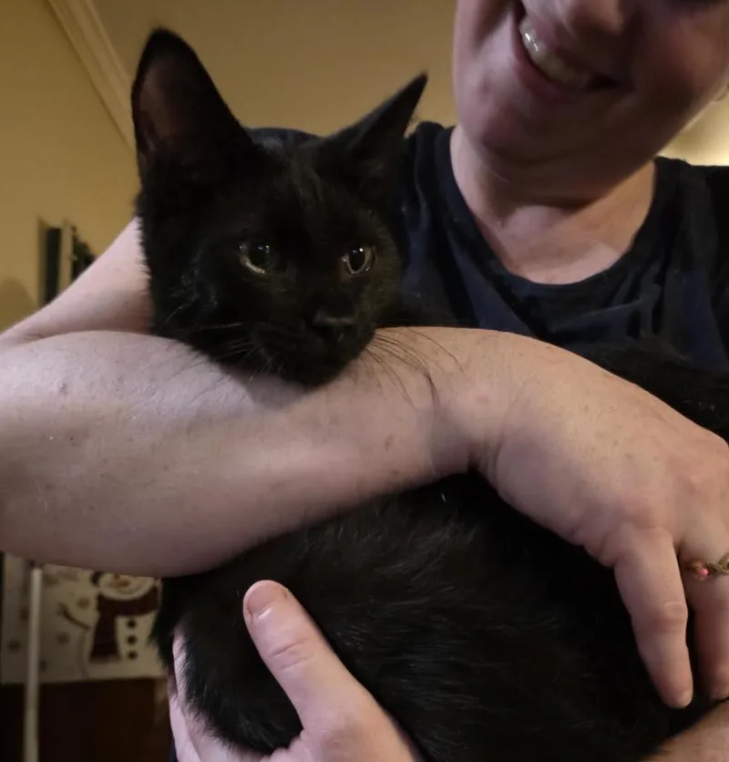 Zoomie thumbnail 3