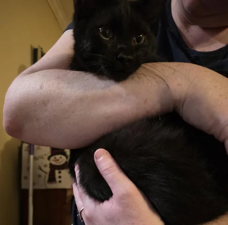 Zoomie thumbnail 4