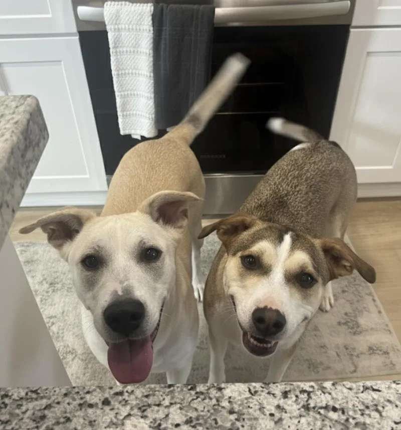 Lily Kae thumbnail 3