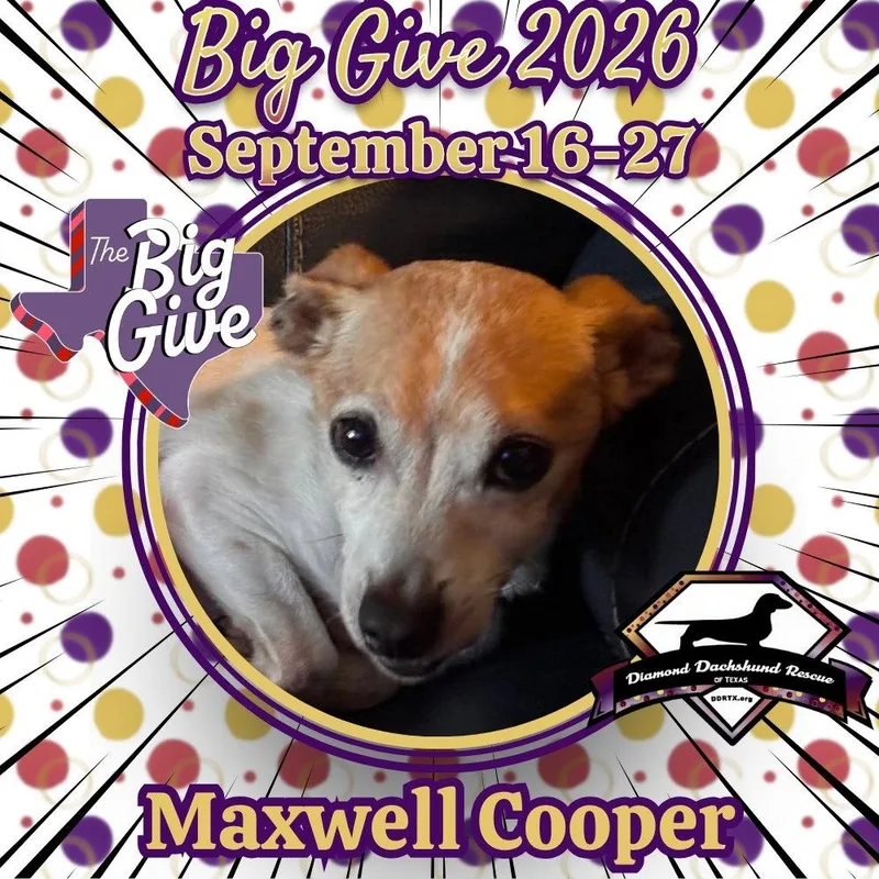 Maxwell Cooper thumbnail 3