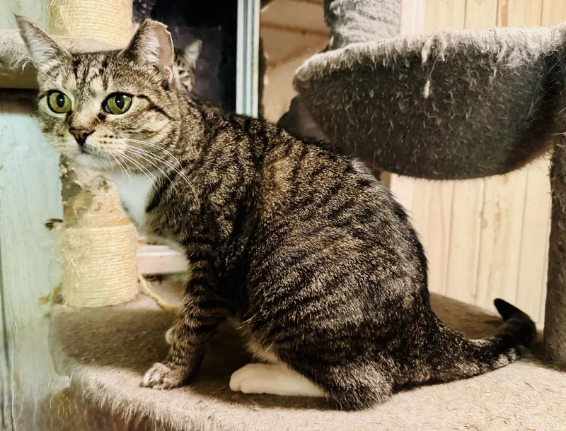 Trixie Owens thumbnail 2