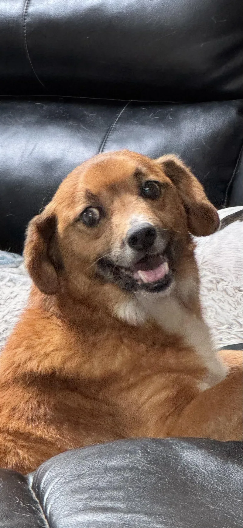 Pooh Bear thumbnail 5