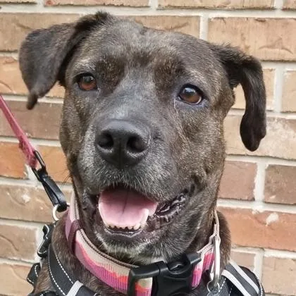 Olivia Jane thumbnail 3