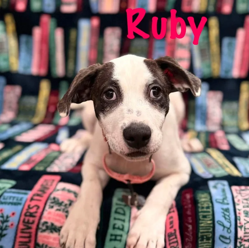 Ruby