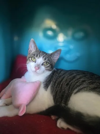 Dory thumbnail 2