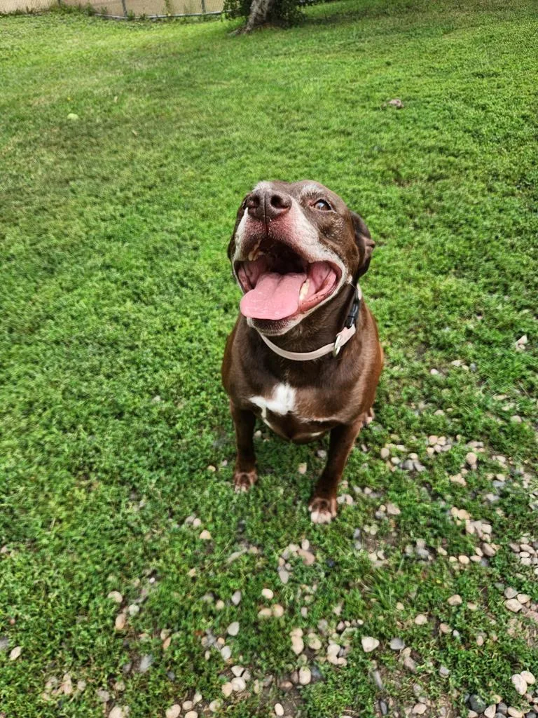 Zoey