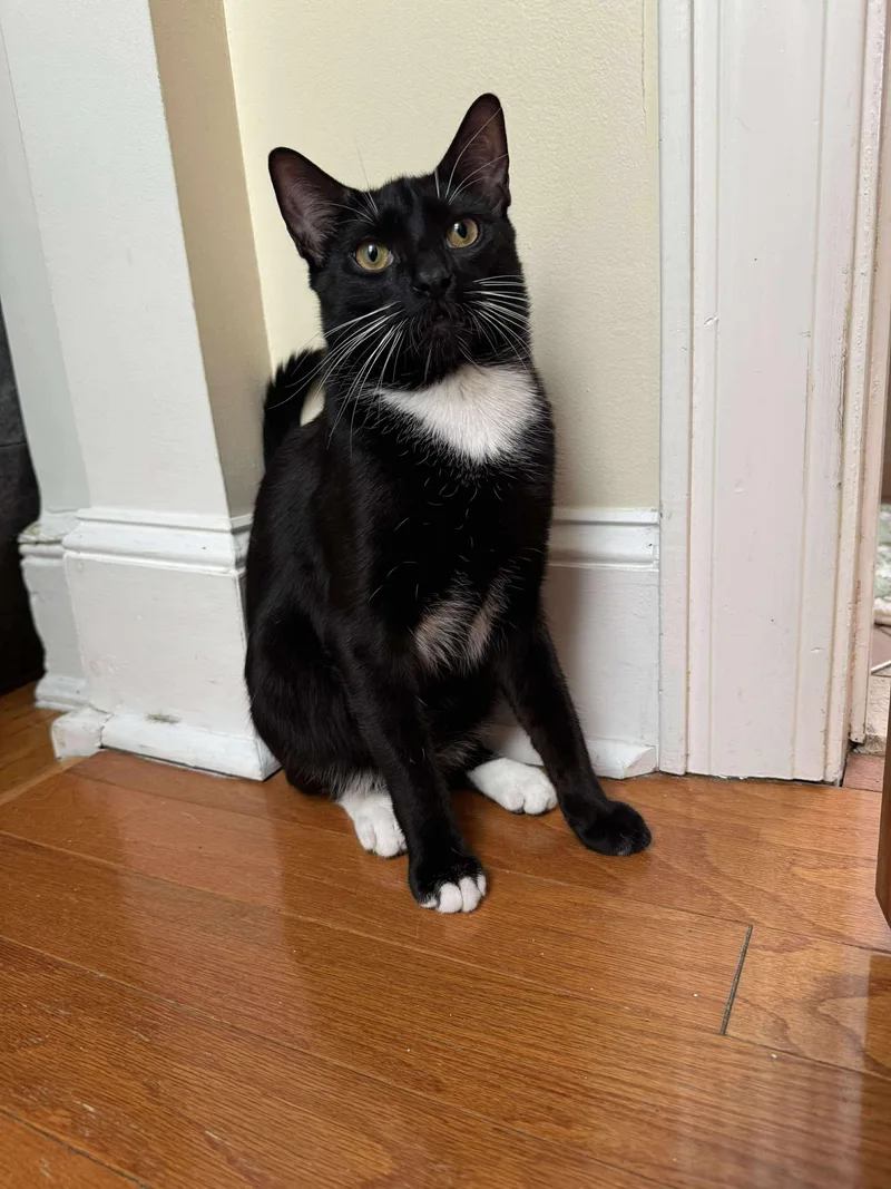 Noah And Wyle thumbnail 4