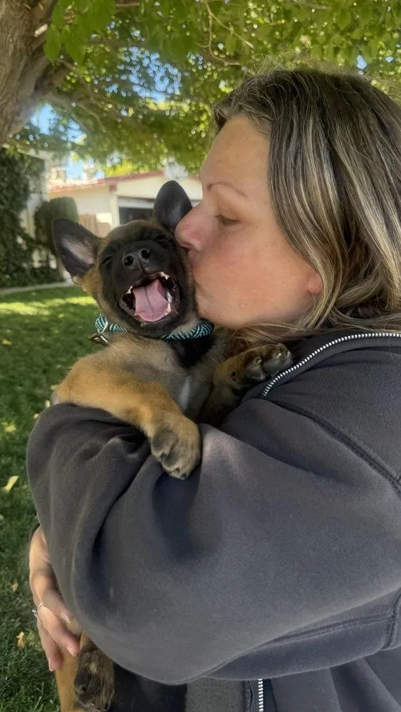 Koda  Located in thumbnail 6