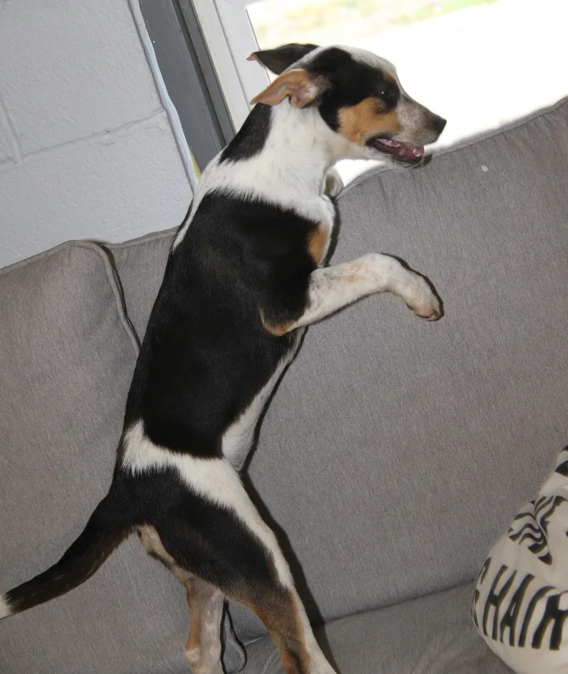 Lilah thumbnail 5