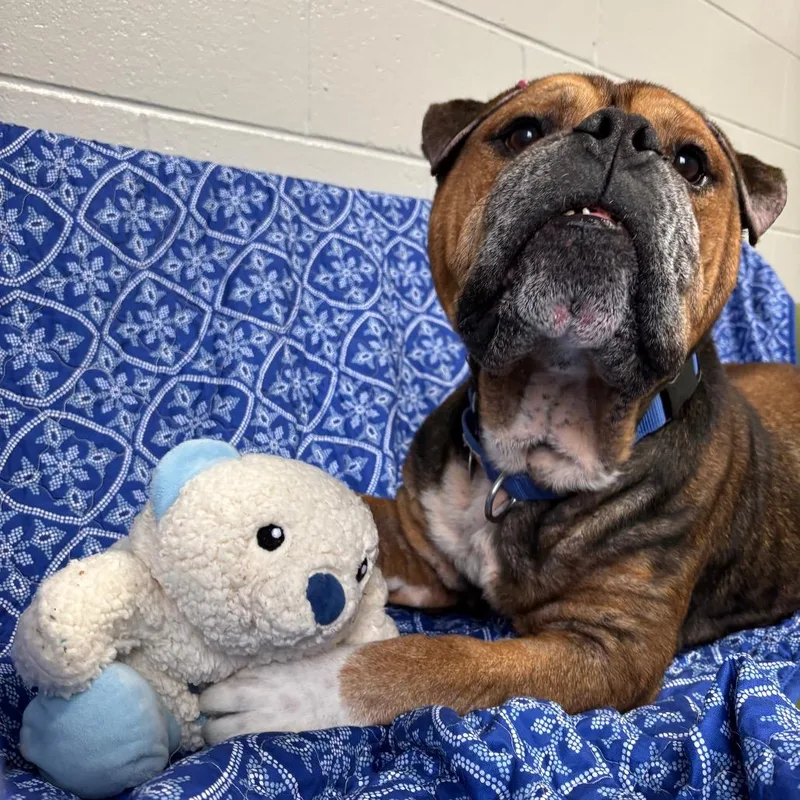 Mr. Worldwide thumbnail 3