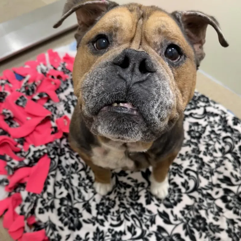 Mr. Worldwide thumbnail 4