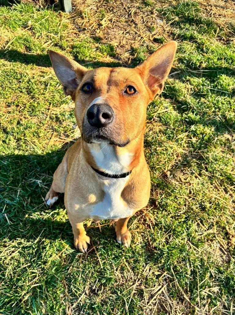 June Bug thumbnail 3