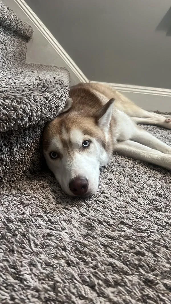 Yukon