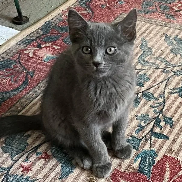 Ozzy So Friendly And thumbnail 2