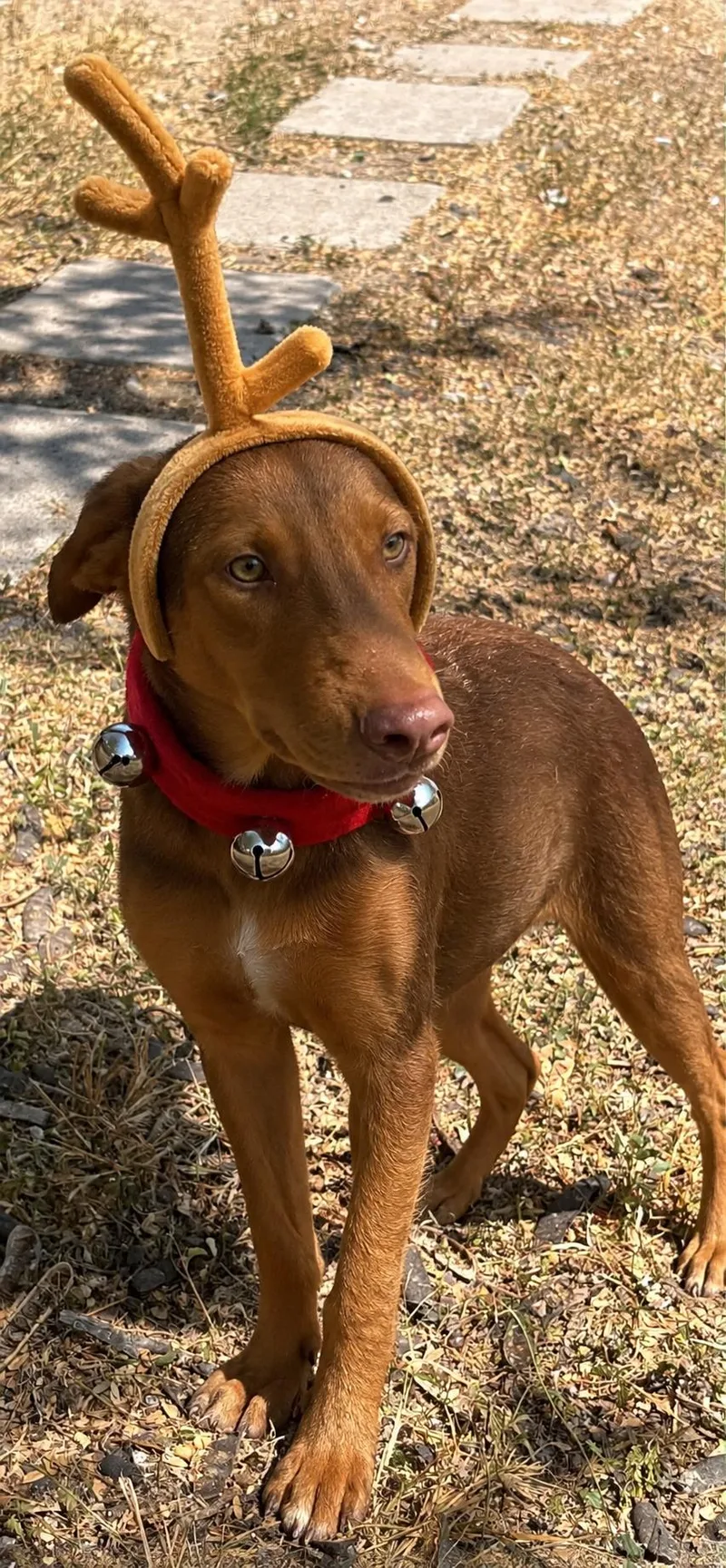 Max