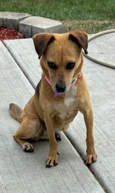 Kacey thumbnail 3