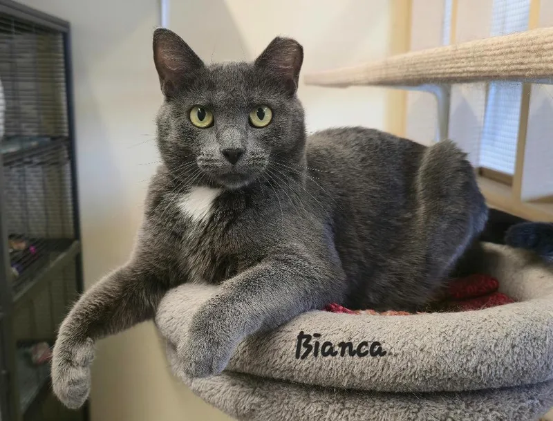 Bianca thumbnail 2