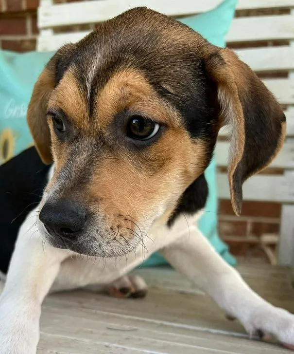 Tucker