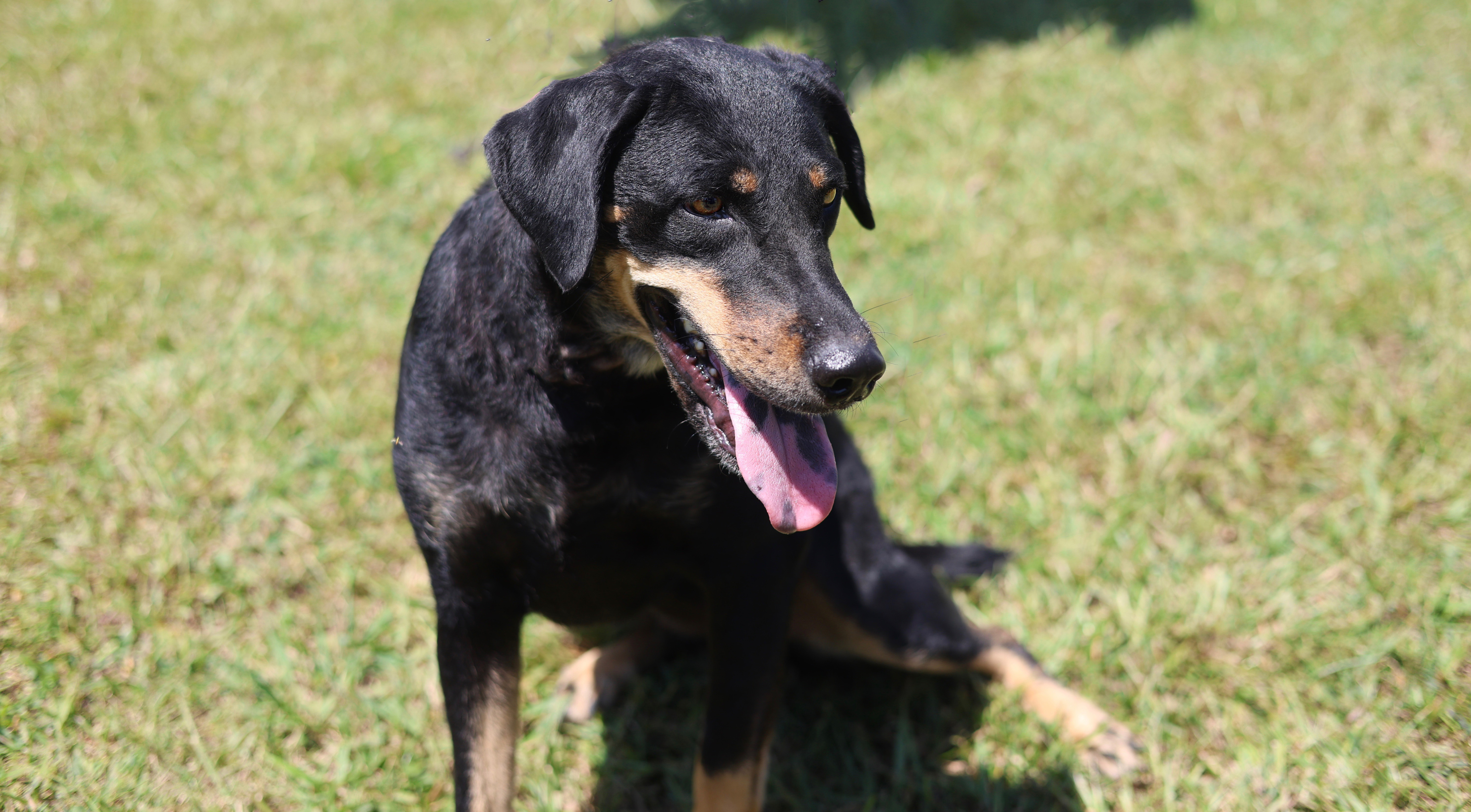 Velveeta thumbnail 5