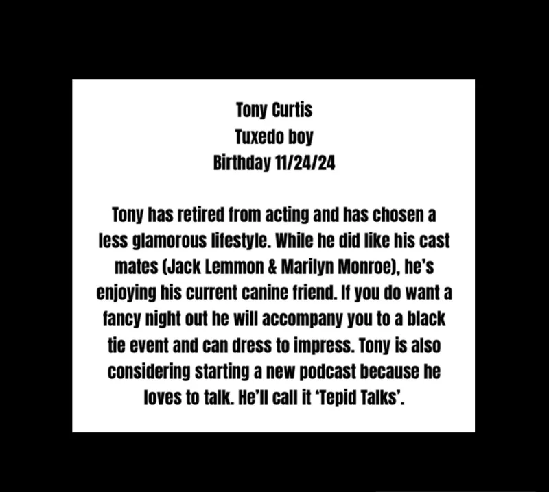 Tony Curtis thumbnail 5