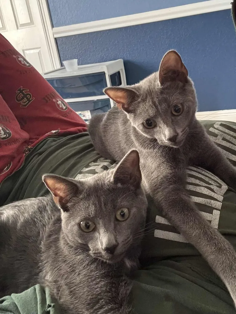 Tammy & Jerry thumbnail 3