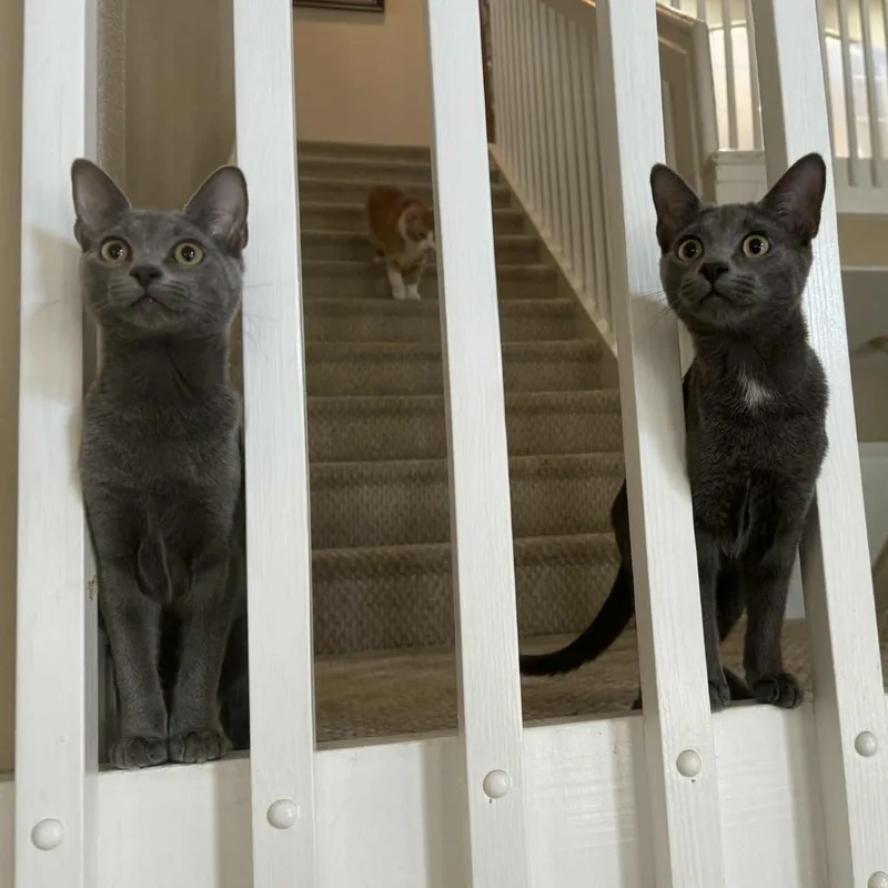 Tammy & Jerry thumbnail 5