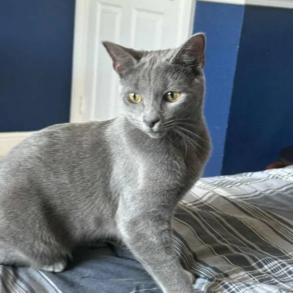 Tammy & Jerry thumbnail 6