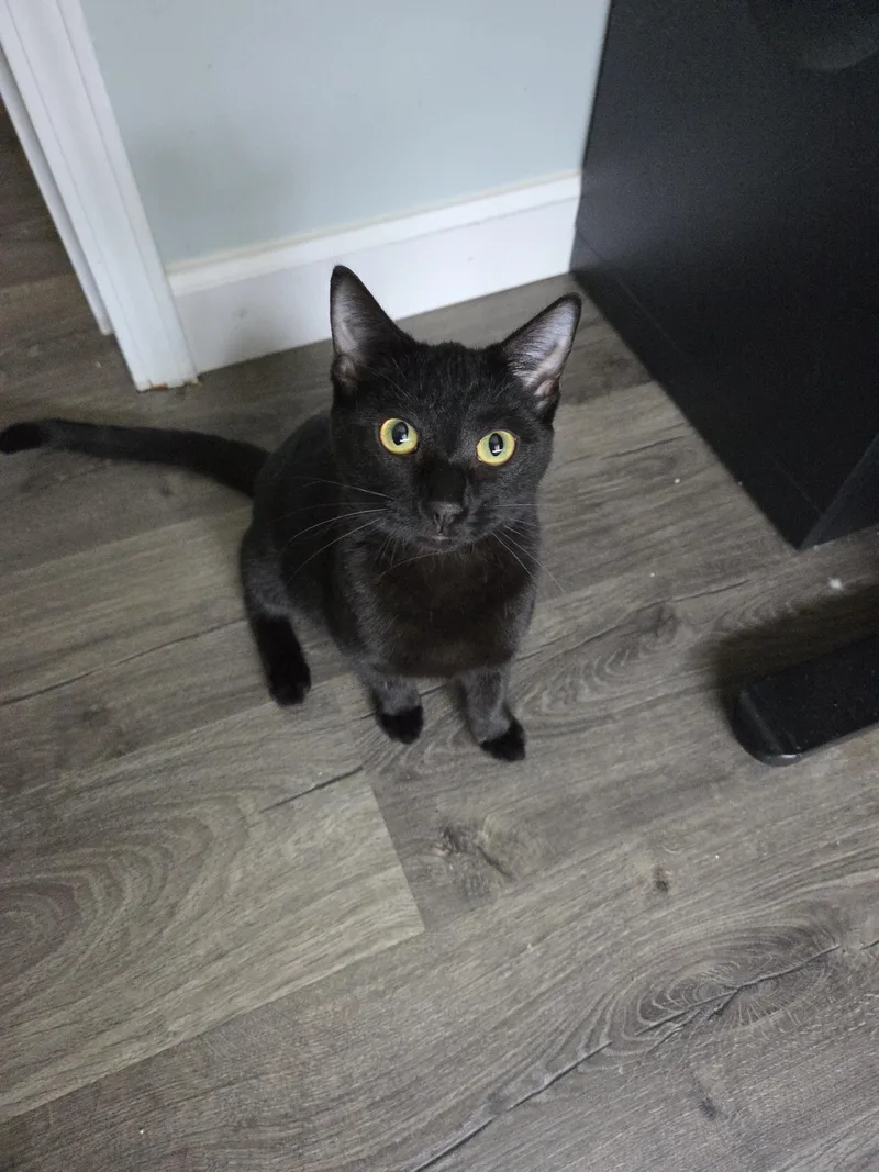 Mortianna thumbnail 3