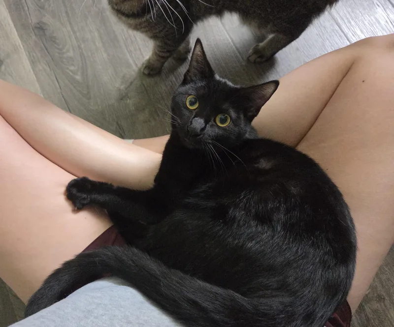 Mortianna thumbnail 4