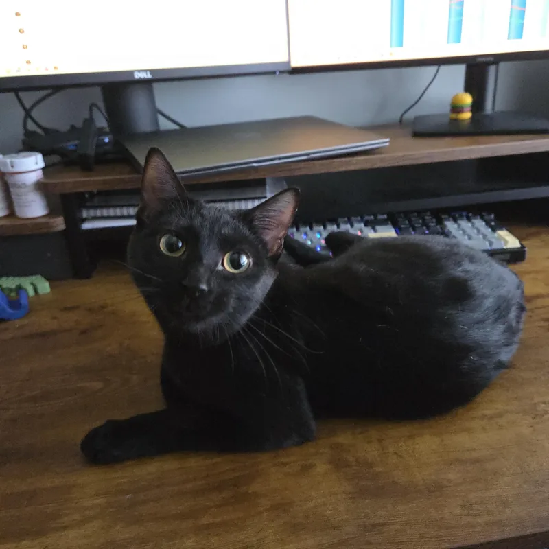 Mortianna thumbnail 6