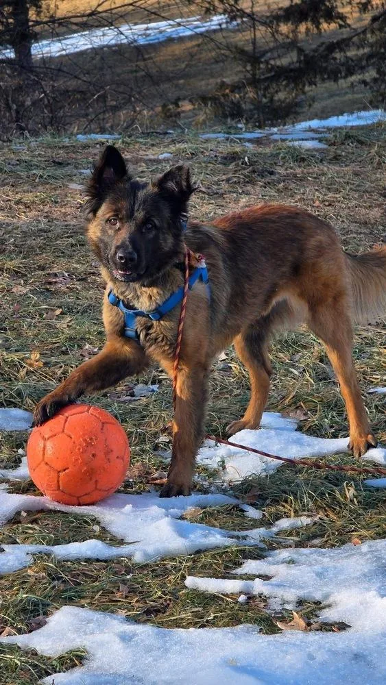 Azly  Located In thumbnail 2