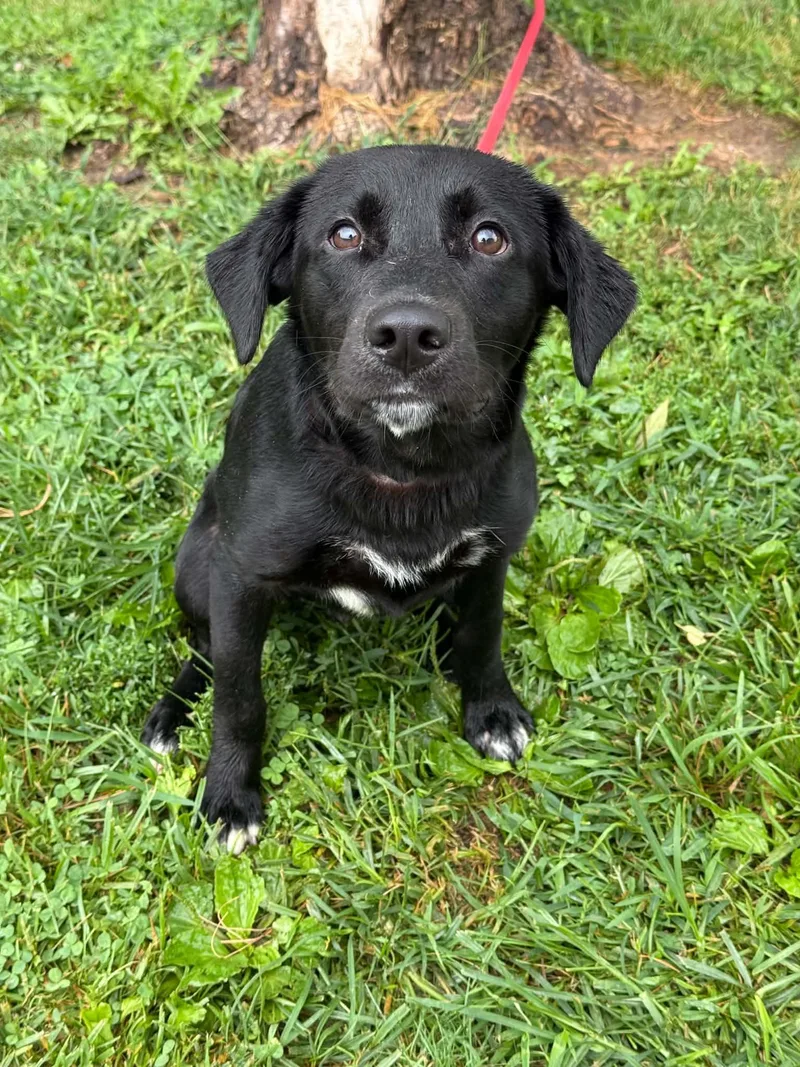 Bernie